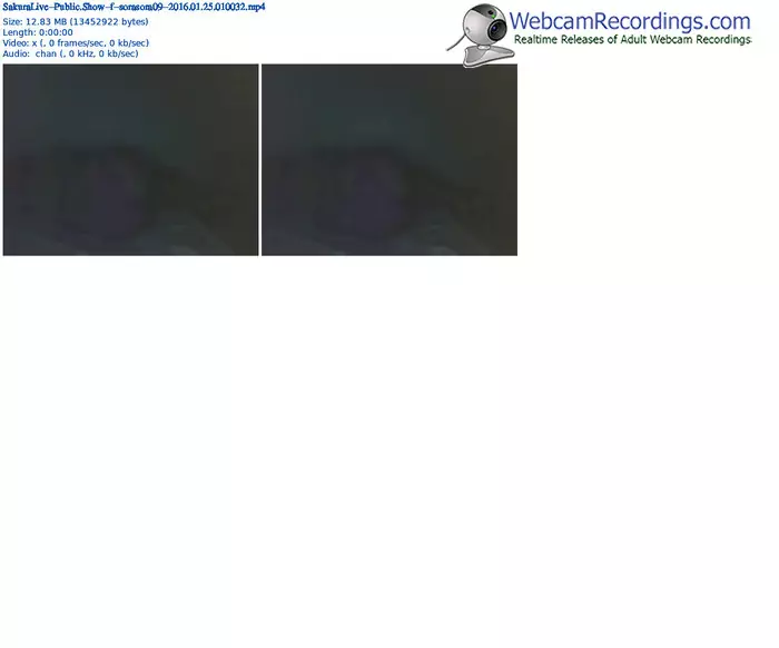 sakuralivejp-sorasora09-webcam-show-01_25_2016-01_00_32