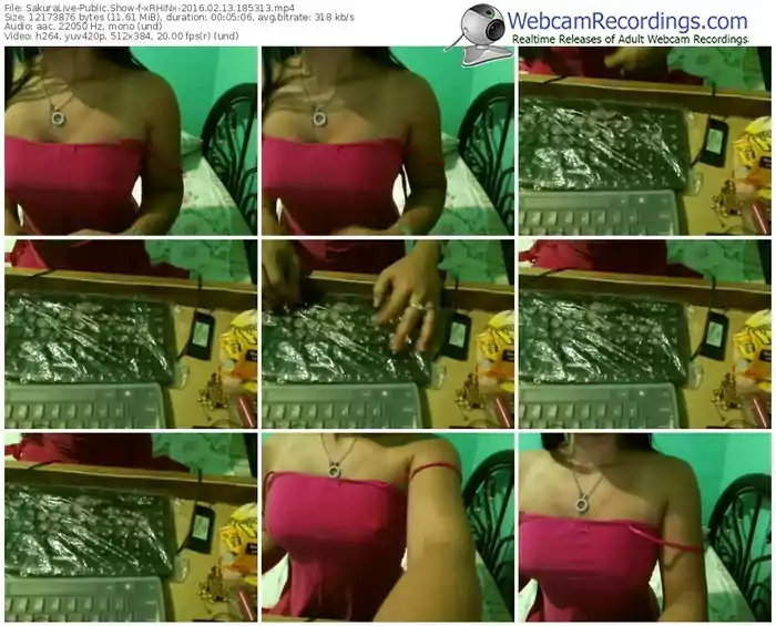 sakuralivejp-xrhinx-webcam-show-02_13_2016-18_53_13