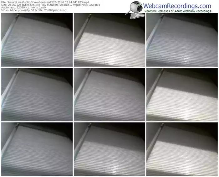 sakuralivejp-seasea2525-webcam-show-02_14_2016-04_18_23