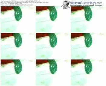 sakuralivejp-xrhinx-webcam-show-02_14_2016-19_43_39