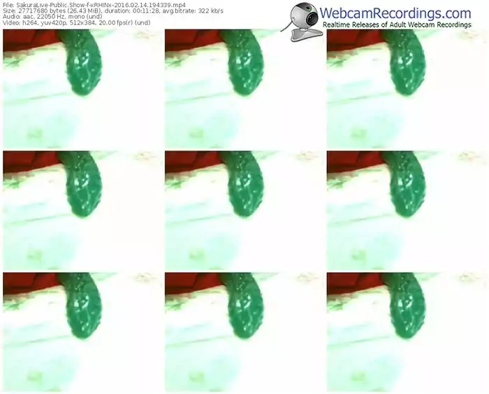 sakuralivejp-xrhinx-webcam-show-02_14_2016-19_43_39