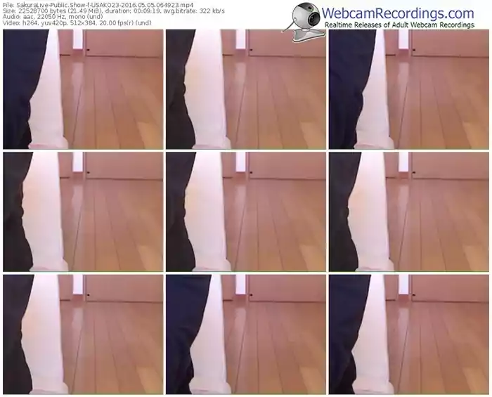 sakuralivejp-usako23-webcam-show-05_05_2016-06_49_23