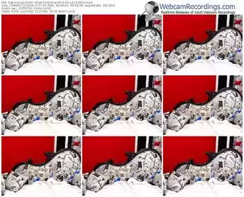 sakuralivejp-vitorria-webcam-show-05_14_2016-15_49_53