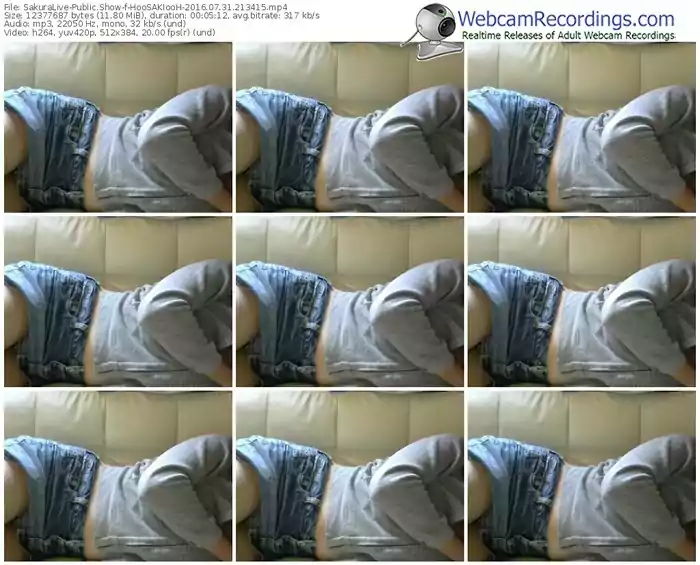 sakuralivejp-hoosakiooh-webcam-show-07_31_2016-21_34_15