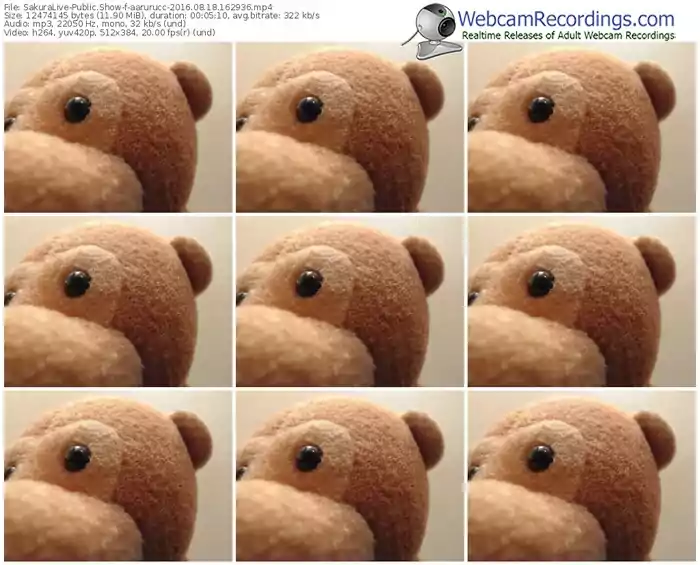 sakuralivejp-aarurucc-webcam-show-08_18_2016-16_29_36