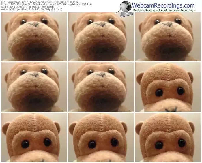 sakuralivejp-aarurucc-webcam-show-08_18_2016-16_39_36