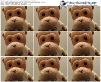 sakuralivejp-aarurucc-webcam-show-08_18_2016-16_59_36