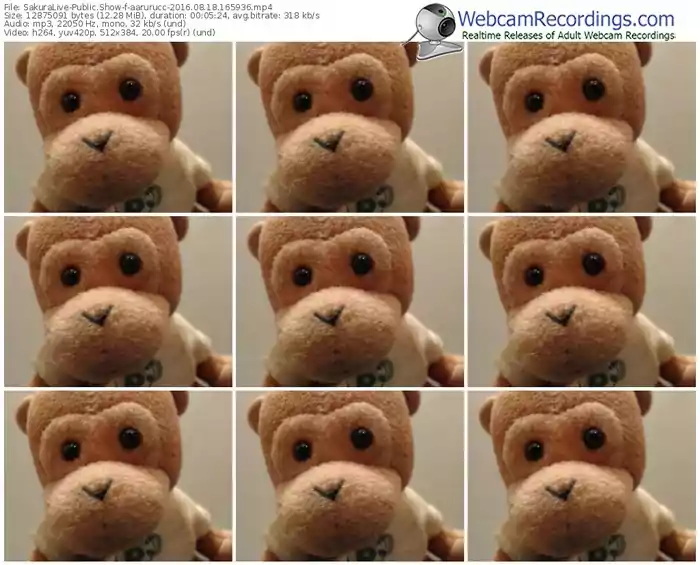 sakuralivejp-aarurucc-webcam-show-08_18_2016-16_59_36