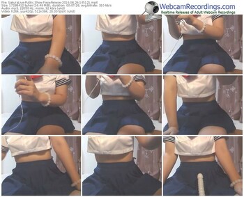 sakuralivejp-wjwreiwjw-webcam-show-08_29_2016-14_51_21