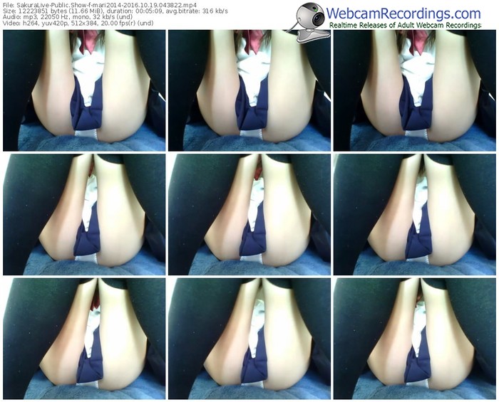 sakuralivejp-mari2014-webcam-show-10_19_2016-04_38_22