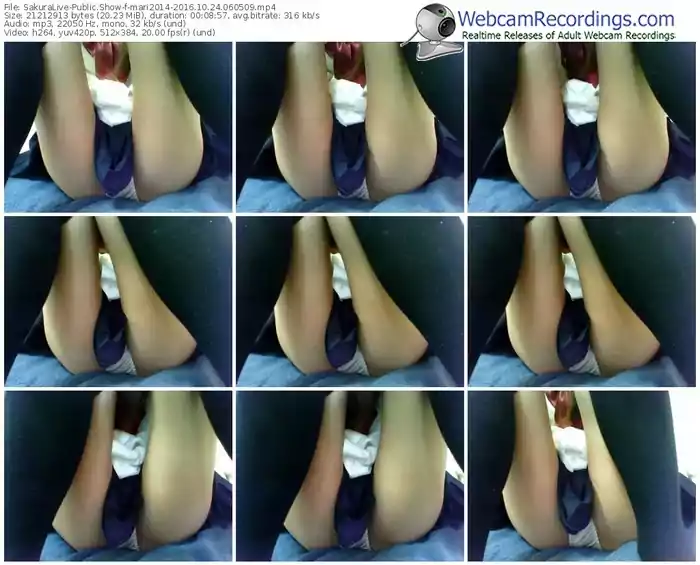 sakuralivejp-mari2014-webcam-show-10_24_2016-06_05_09