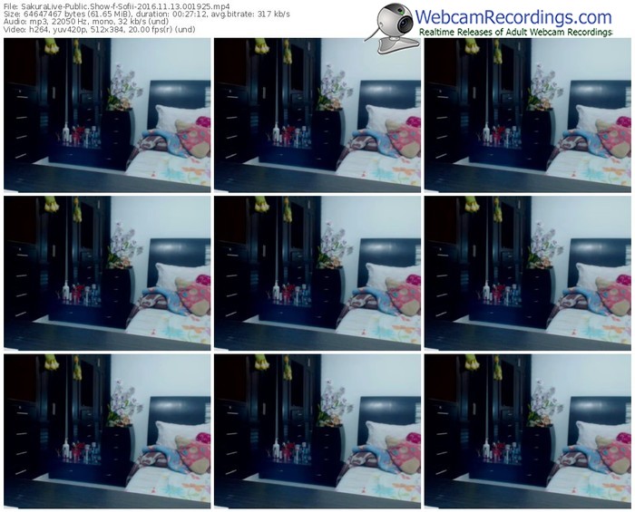 sakuralivejp-sofii-webcam-show-11_13_2016-00_19_25