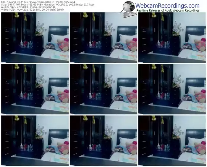 sakuralivejp-sofii-webcam-show-11_13_2016-00_19_25