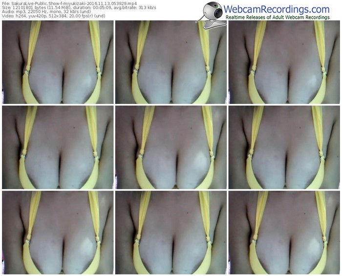sakuralivejp-miyukizaki-webcam-show-11_13_2016-05_39_29