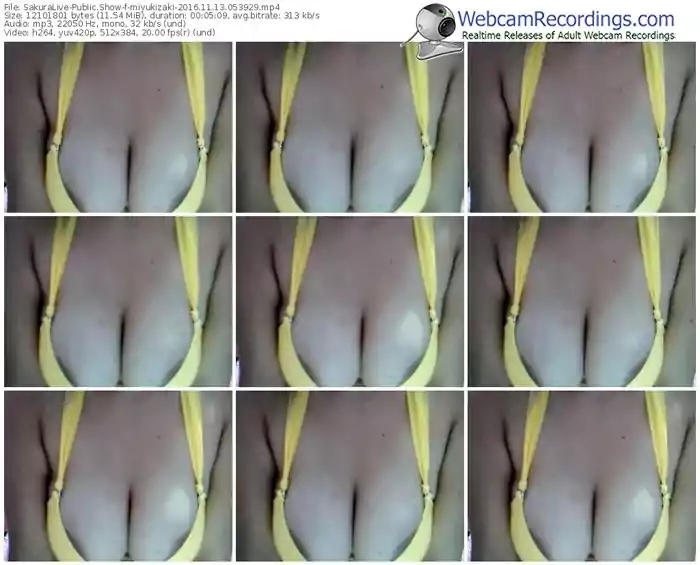 sakuralivejp-miyukizaki-webcam-show-11_13_2016-05_39_29