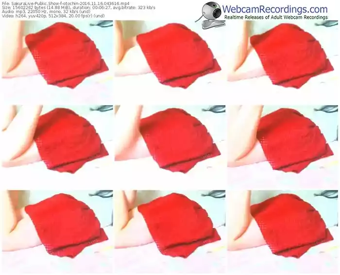 sakuralivejp-otochin-webcam-show-11_16_2016-04_36_16