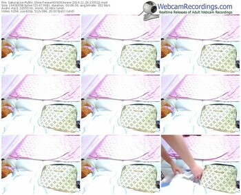 sakuralivejp-wwwhonokawww-webcam-show-11_29_2016-23_35_22