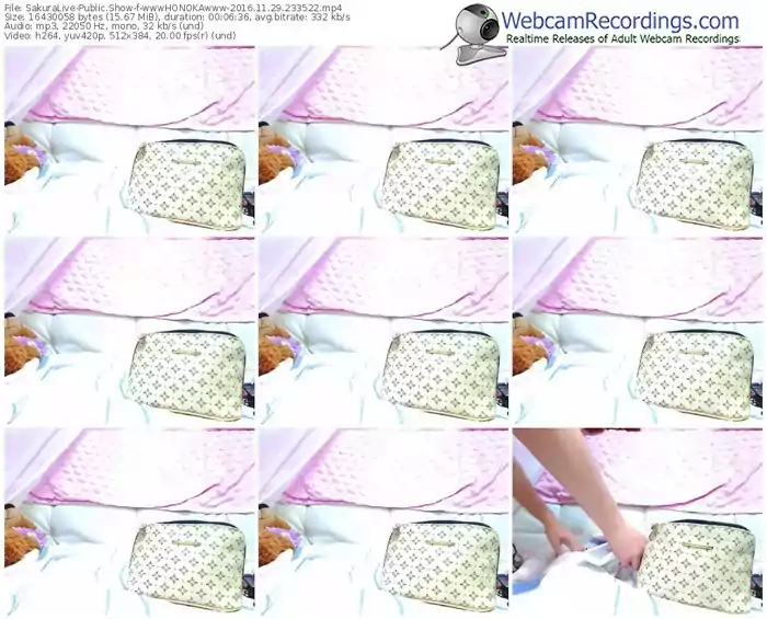 sakuralivejp-wwwhonokawww-webcam-show-11_29_2016-23_35_22