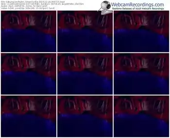 sakuralivejp-lolla-webcam-show-12_20_2016-00_47_15