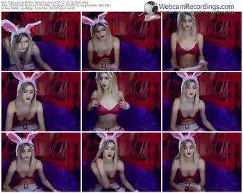 sakuralivejp-lolla-webcam-show-12_23_2016-11_23_40