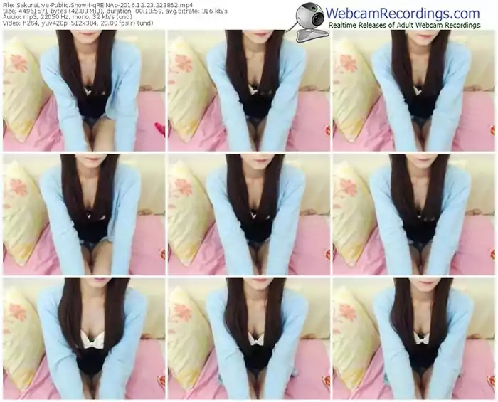 sakuralivejp-qreinap-webcam-show-12_23_2016-22_38_52