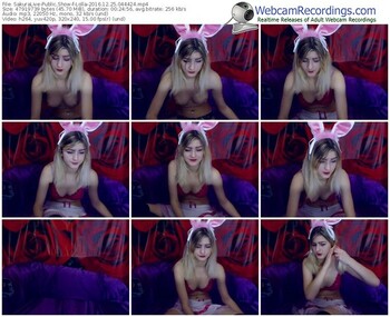 sakuralivejp-lolla-webcam-show-12_25_2016-04_44_24