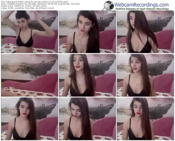 sakuralivejp-canndye-webcam-show-12_26_2016-12_04_56