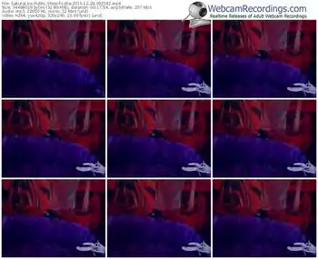 sakuralivejp-lolla-webcam-show-12_28_2016-09_25_42