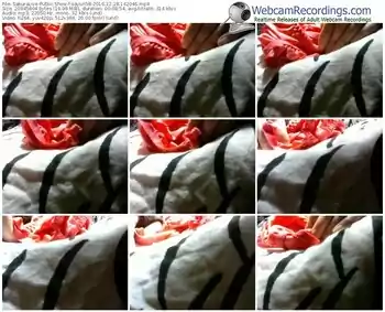 sakuralivejp-sayuri58-webcam-show-12_28_2016-14_20_46