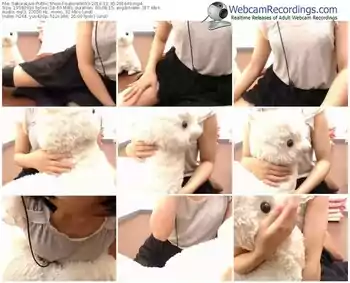 sakuralivejp-sumire0603-webcam-show-12_30_2016-20_16_43