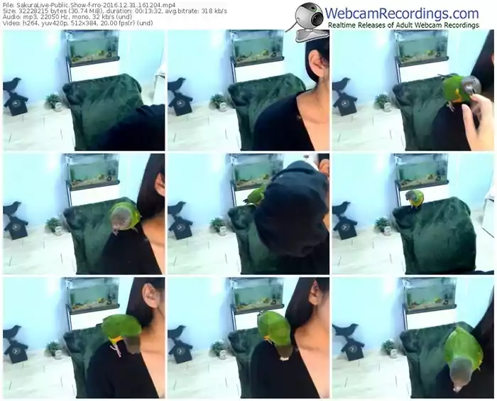 sakuralivejp-rro-webcam-show-12_31_2016-16_12_04