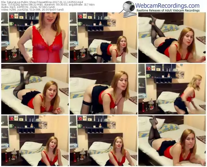 sakuralivejp-sweetelise-webcam-show-01_11_2017-16_25_02