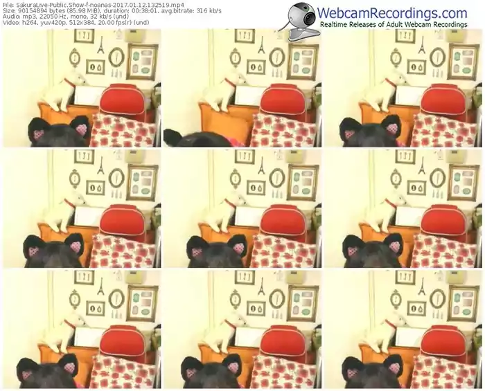 sakuralivejp-noanas-webcam-show-01_12_2017-13_25_19