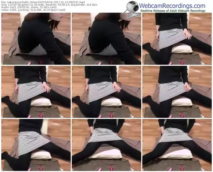 sakuralivejp-mitsukick-webcam-show-01_13_2017-08_25_37