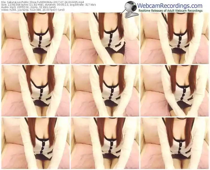 sakuralivejp-vm0m0kav-webcam-show-07_24_2017-01_04_35