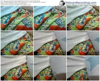 sakuralivejp-reika1016-webcam-show-07_26_2017-21_39_42