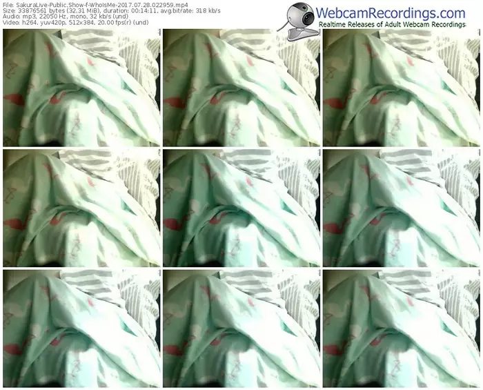 sakuralivejp-whoisme-webcam-show-07_28_2017-02_29_59