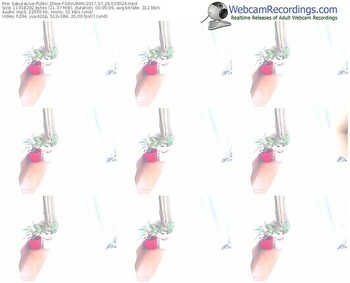 sakuralivejp-sayuran-webcam-show-07_29_2017-03_30_24