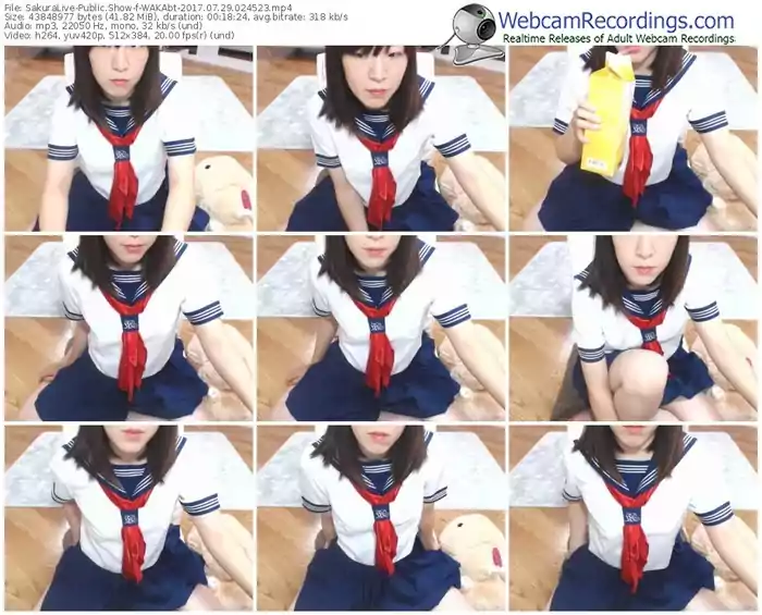 sakuralivejp-wakabt-webcam-show-07_29_2017-02_45_23