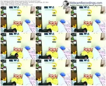 sakuralivejp-noanas-webcam-show-07_29_2017-16_10_37