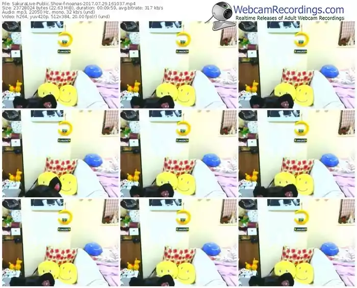 sakuralivejp-noanas-webcam-show-07_29_2017-16_10_37