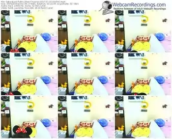 sakuralivejp-noanas-webcam-show-07_30_2017-06_05_51