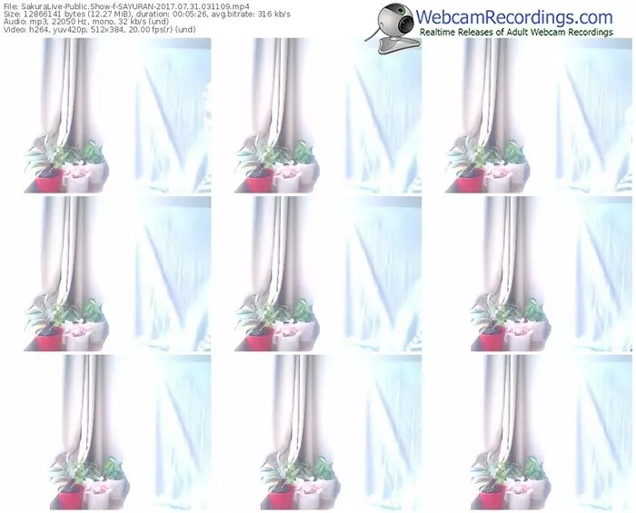 sakuralivejp-sayuran-webcam-show-07_31_2017-03_11_09