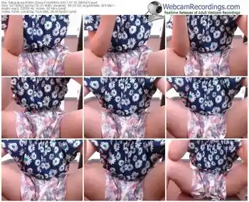 sakuralivejp-vsaekov-webcam-show-07_31_2017-08_36_13