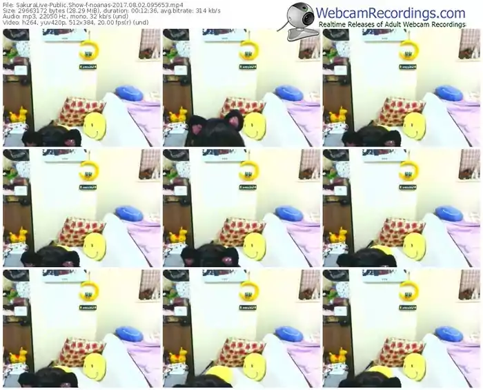 sakuralivejp-noanas-webcam-show-08_02_2017-09_56_53