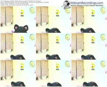 sakuralivejp-noanas-webcam-show-08_05_2017-19_12_48