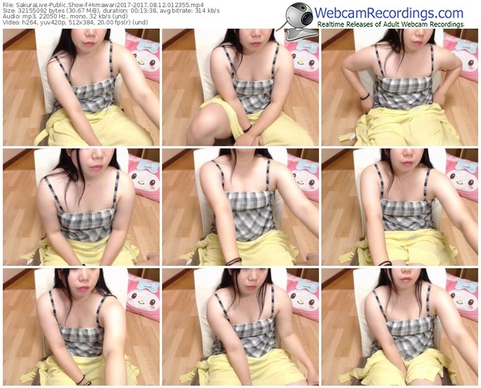 sakuralivejp-himawari2017-webcam-show-08_12_2017-01_23_55
