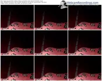 sakuralivejp-ebonygoddes-webcam-show-08_13_2017-14_40_51