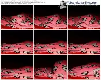 sakuralivejp-ebonygoddes-webcam-show-08_14_2017-15_50_52