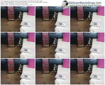 sakuralivejp-leylamisaki-webcam-show-08_30_2017-07_25_11